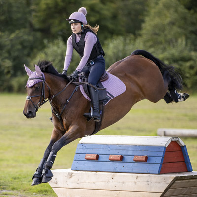 New Lemieux Colours Redpost Equestrian Blog